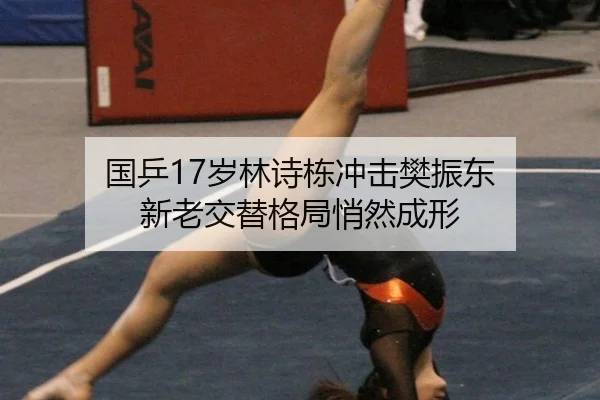 guo-ping-sui-lin-shi-dong-chong-ji-fan-zhen-dong-xin-lao-jiao-ti-ge-ju-qiao-ran-cheng-xing-1-777.jpg