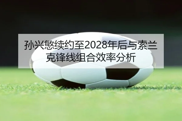 sun-xing-min-xu-yue-zhi-nian-hou-yu-suo-lan-ke-feng-xian-zu-he-xiao-lv-fen-xi-2-357.jpg