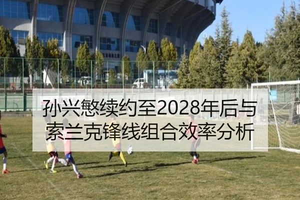 sun-xing-min-xu-yue-zhi-nian-hou-yu-suo-lan-ke-feng-xian-zu-he-xiao-lv-fen-xi-3-518.jpg