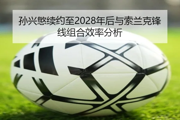 sun-xing-min-xu-yue-zhi-nian-hou-yu-suo-lan-ke-feng-xian-zu-he-xiao-lv-fen-xi-1-505.jpg