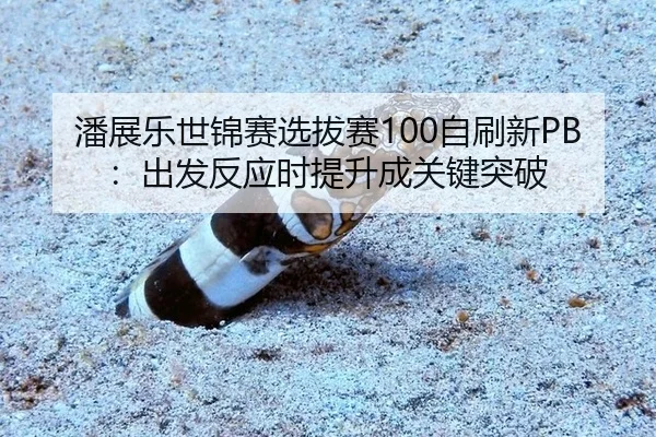 pan-zhan-le-shi-jin-sai-xuan-ba-sai-zi-shua-xin-chu-fa-fan-ying-shi-ti-sheng-cheng-guan-jian-tu-po-1-638.jpg